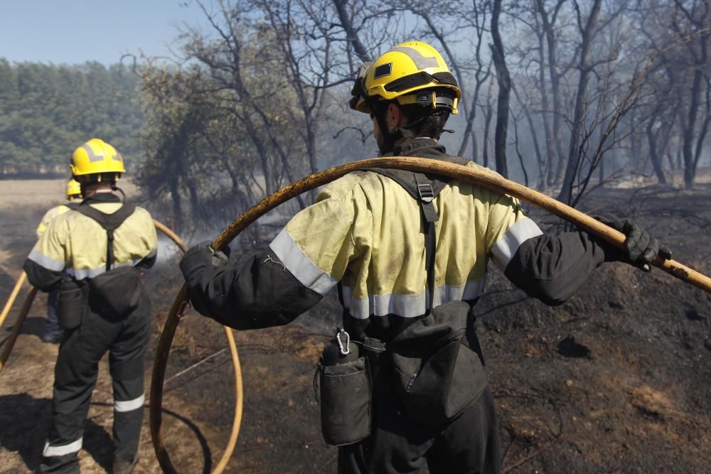 Incendi a al polígon industrial de Maçanet