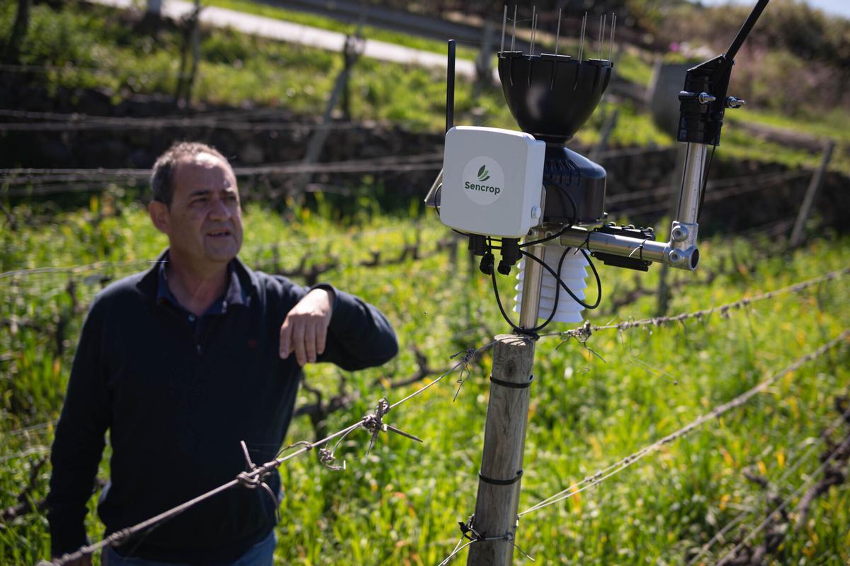 Implementación de la Inteligencia Artificial en la producción de bodegas Viñátigo