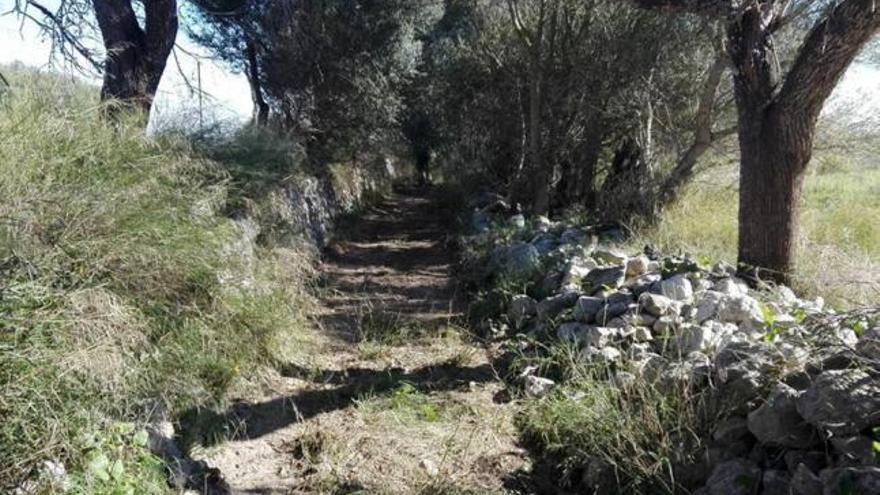 Imagen de una porción del antiguo camino de Sineu tras las labores de limpieza.