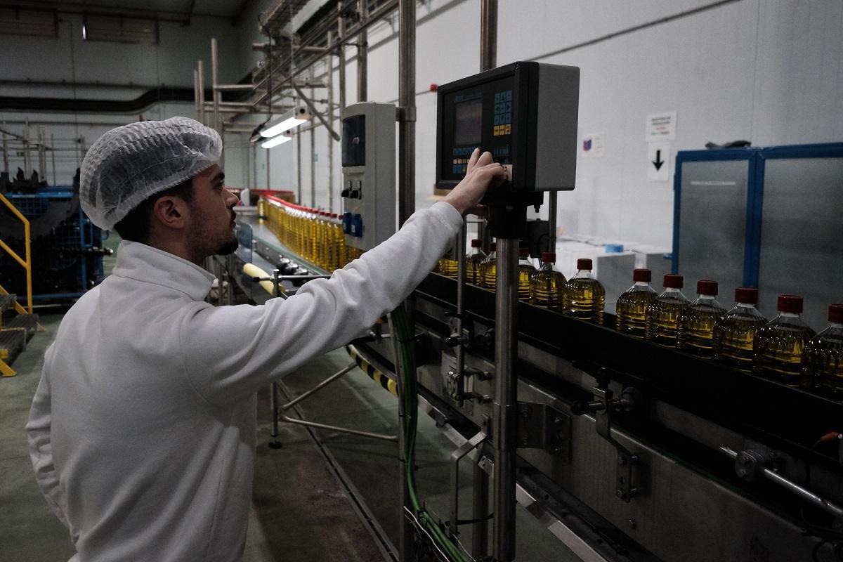 Un trabajador de la cooperativa Dcoop de Málaga, en tareas de embotellado del aceite de oliva.