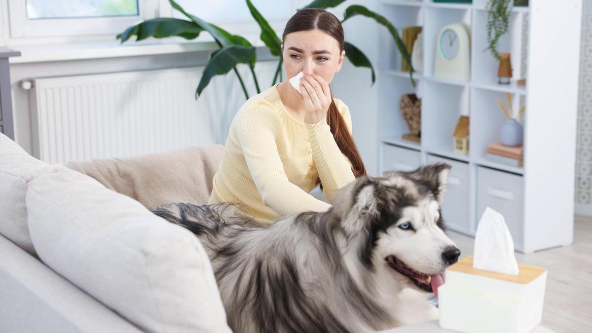 Alergia a perros y gatos: ¿es posible sufrirla sin convivir con ellos?