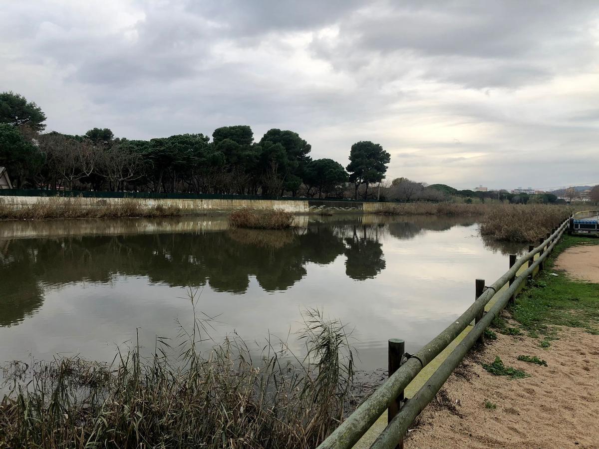 Les fotos de l'estat del passeig marítim de Platja d’Arodesprés de la llevantada