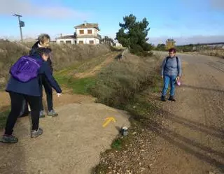 Guardianes del Camino: Así se cuidan las rutas jacobeas en Zamora