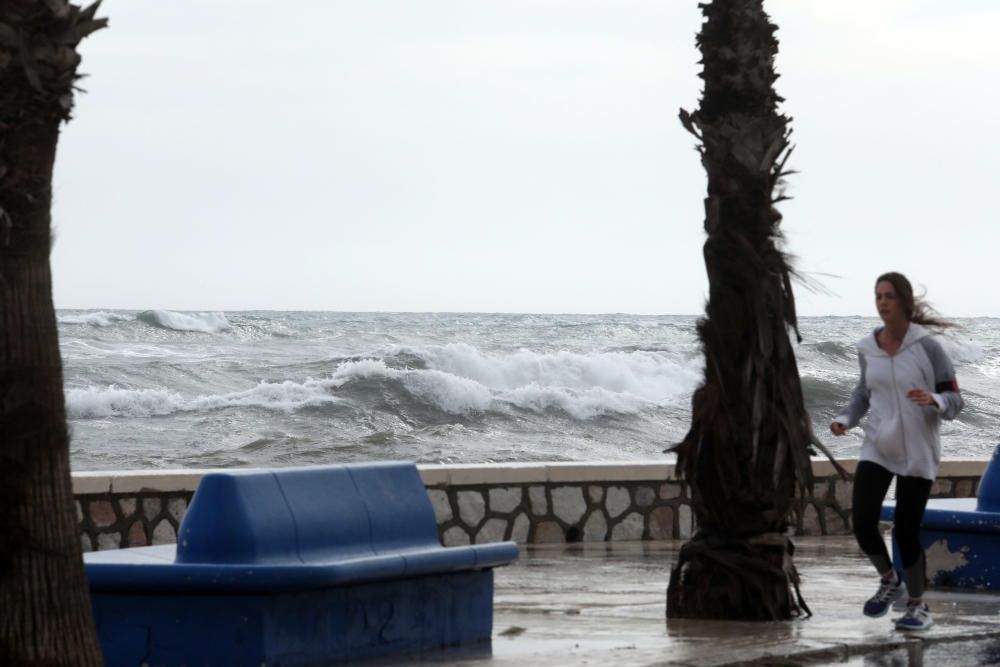 Temporal de viento y lluvia en Málaga