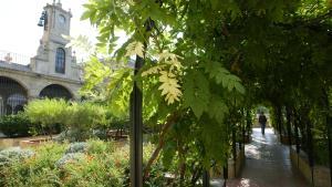 Jardín Mercè Rodoreda, en la sede del IEC, en una imagen de archivo