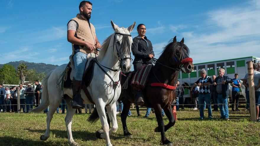 La clásica concentración cabalar de San Telmo se alargará tres días