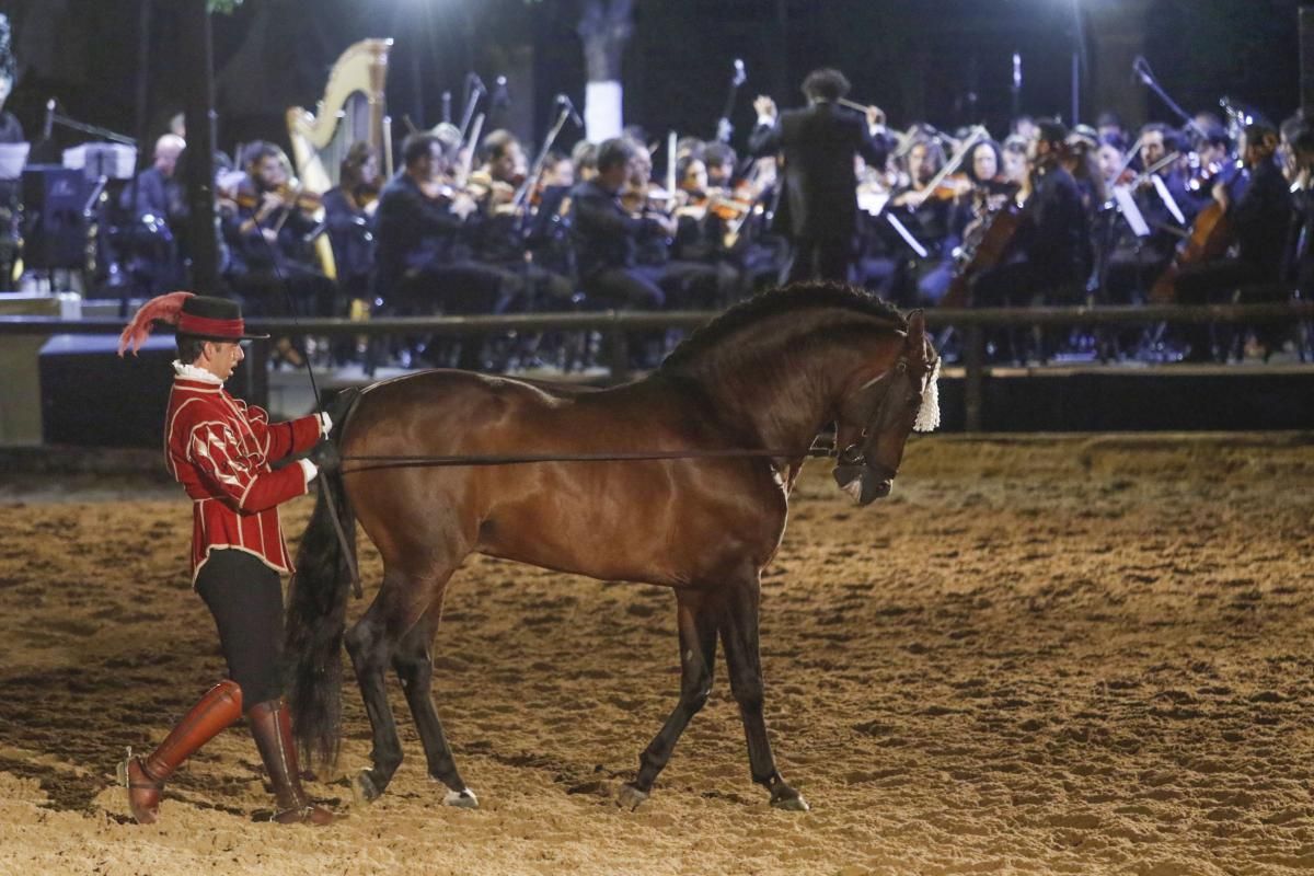 Calbalcor abre sus puertas