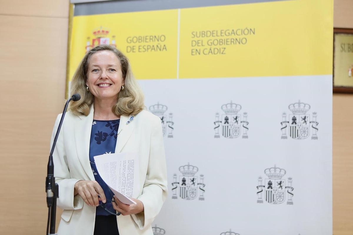 Calviño s’oposa a crear una empresa pública d’electricitat