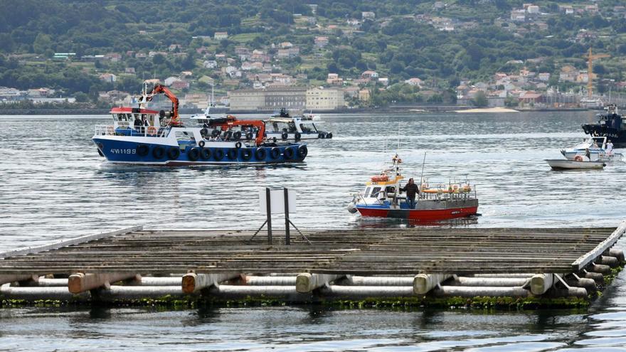 Varias embarcaciones cerca de una batea en la ría de Pontevedra.