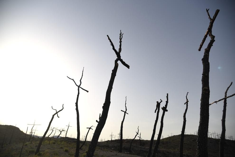 Les mirades més artístiques al Bosc de les creus