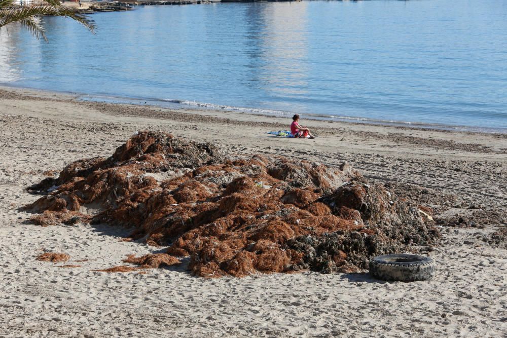 Alicantinos y turistas disfrutan a 20 grados de un