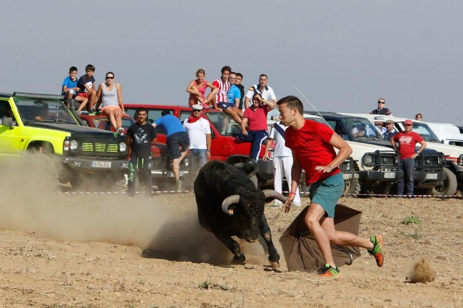 Villalpando despide los toros