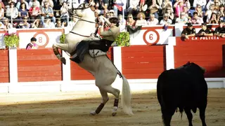Diego Ventura, rejoneador, llevará sus caballos estrella a Gijón: "El Bibio es una plaza bellísima, regreso con mucha ilusión"
