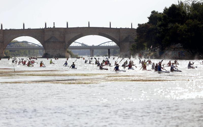 Campeonato de regatas en el Ebro