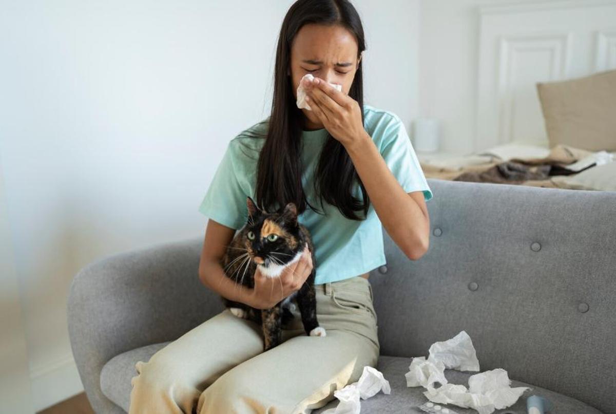 Què fer si tinc al·lèrgia a la meva mascota