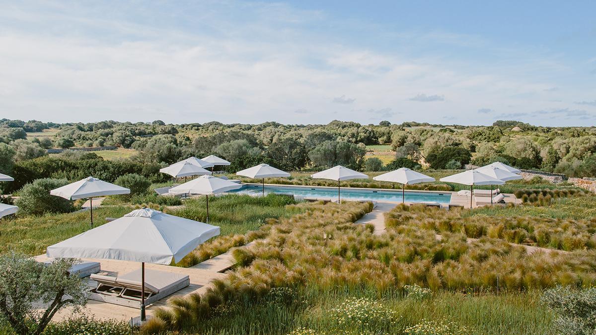 La piscina se integra entre viñedos, olivares y vegetación mediterránea, en pleno paisaje rural menorquín.