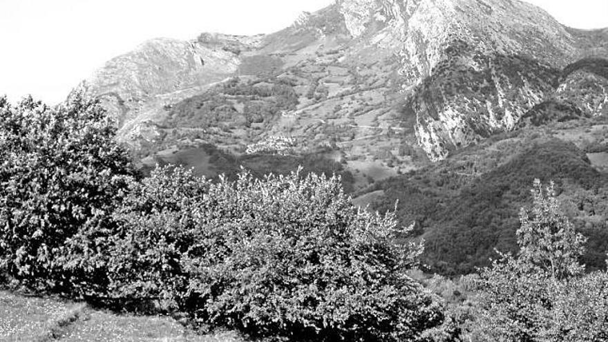 La sierra del Aramo, con el pueblo de Tene en su ladera.