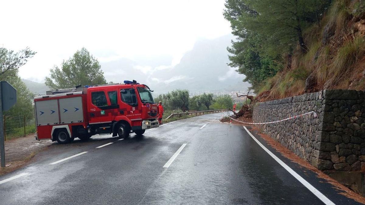240815EUROPA PRESS_BOMBEROS DE MALLORCA_203486803.JPG