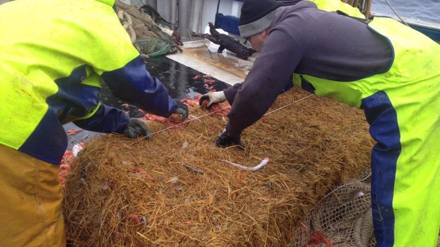 Strohballen in Fischernetzen vor Mallorca: Behörden schließen Sabotage aus