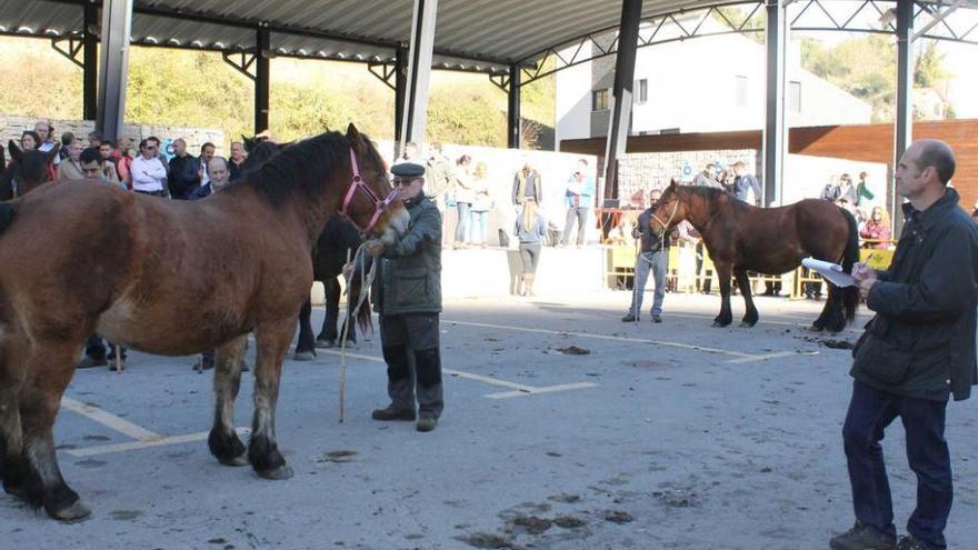 Un juez puntúa a uno de los caballos; a la derecha, Adán Ruisánchez, Iván Fernández, Alejandro Cuervo, Sebio García, Víctor Carnero y Eduardo Suárez disfrutando de un menú de otoño, ayer, en Teverga.