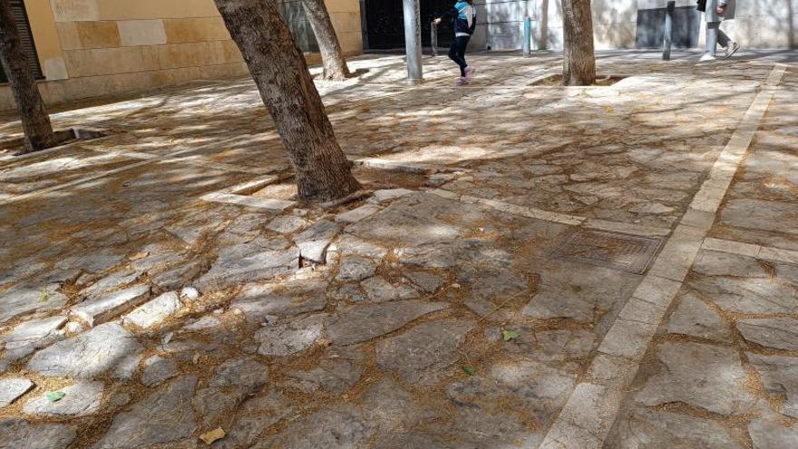 Detalle del pavimento de piedra existente en esta plaza. 