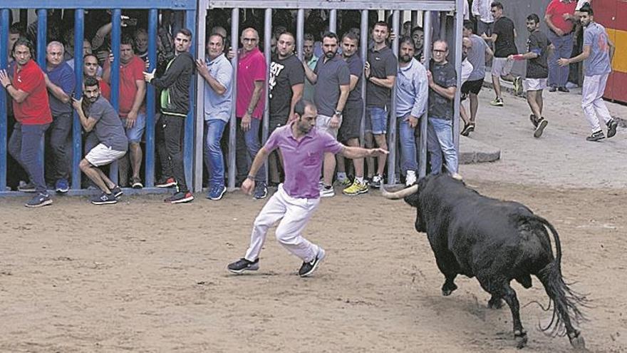 La afición femenina al ‘bou de carrer’ se reúne en Almassora