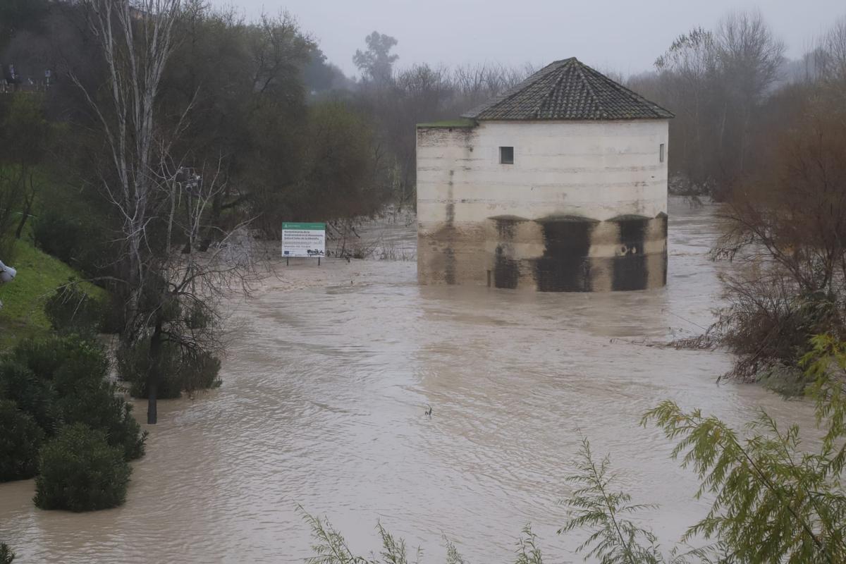 Desciende el nivel del Guadalquivir a su paso por Córdoba: las imágenes del río este martes