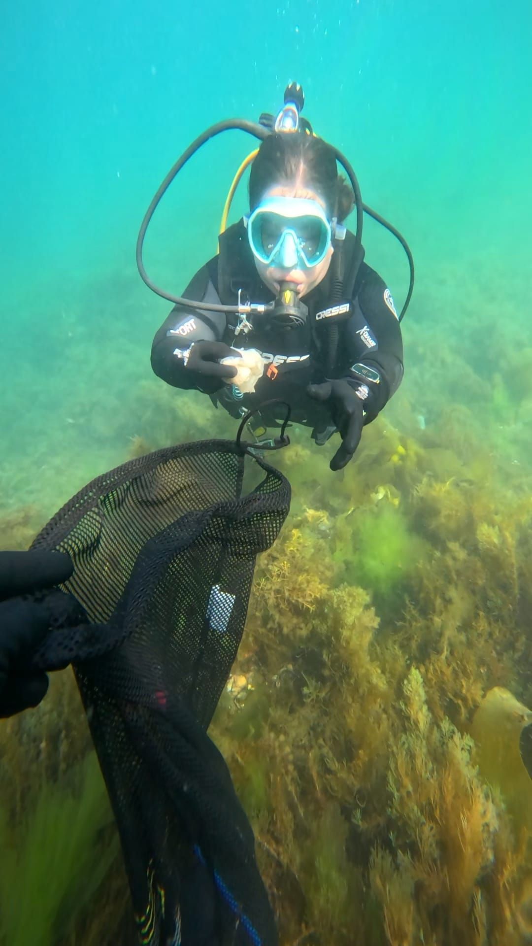 "Recuperación do Morrazo Somerxido", una iniciativa del Centro de Buceo Rías Baixas