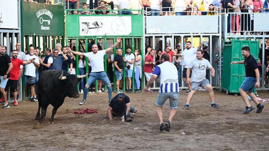 Una aparatosa cogida siembra el pánico en las fiestas de Almassora