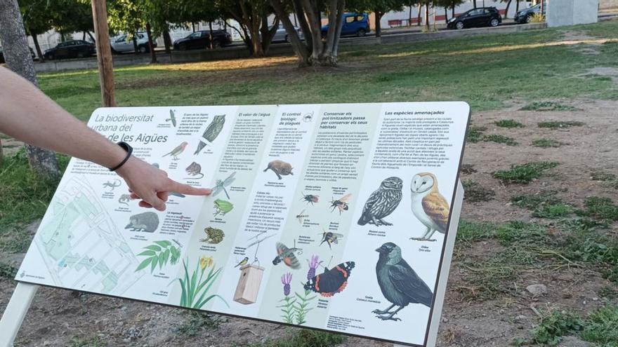 Divulguen la biodiversitat al Parc de les Aigües de Figueres