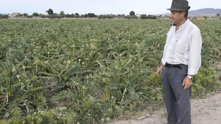 Las hortalizas, por los suelos