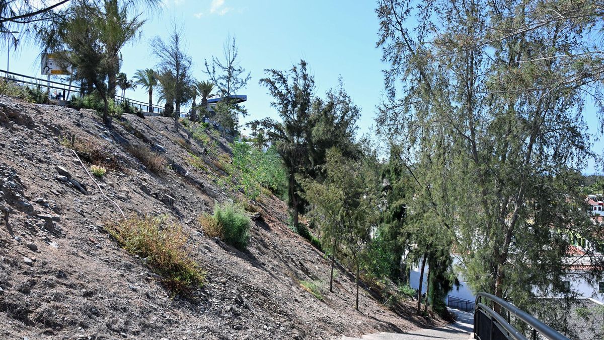 El proyecto intervendrá en la renaturalización de la ladera junto al Parque Botánico y bajo el mirador.