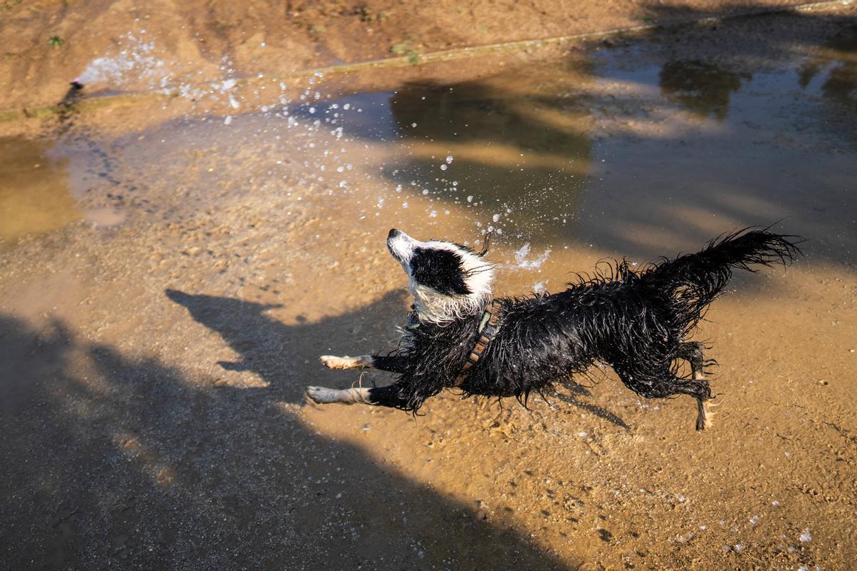 Récord de calor hoy en Barcelona.