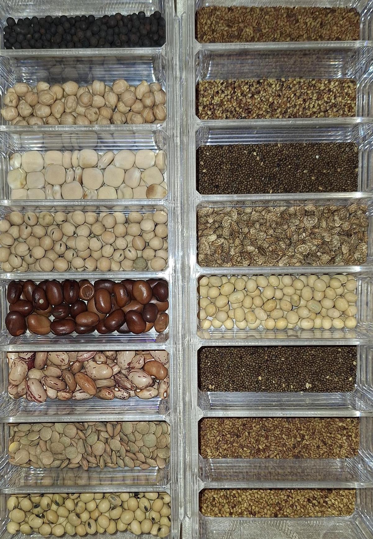 Semillas de leguminosas.