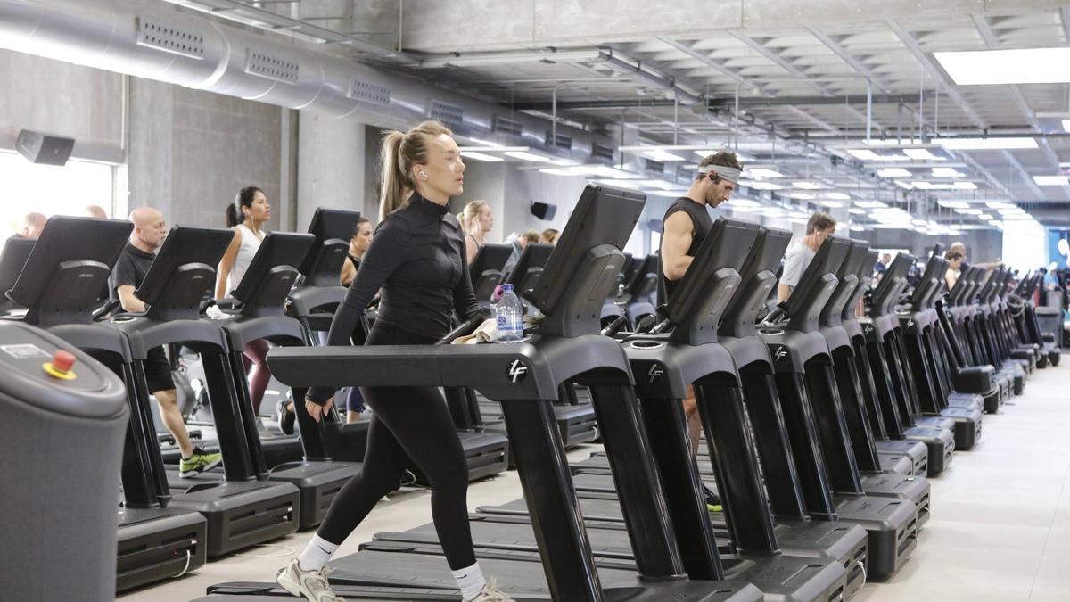 Fitness-Gigant-Megasport-Mallorcas-Tempel-des-K-rperkults