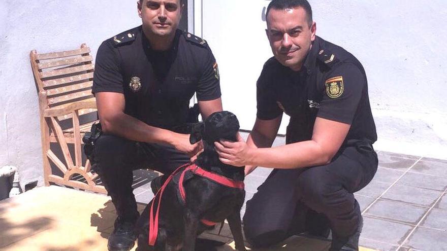 Los agentes, con el perro rescatado en Fuengirola.