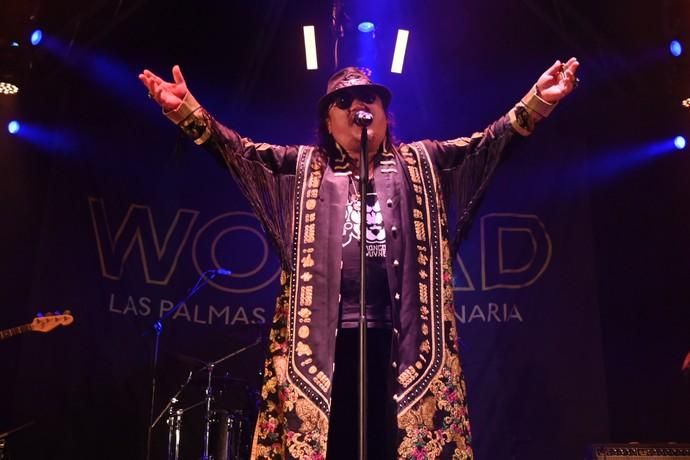 Conciertos del Womad 2019