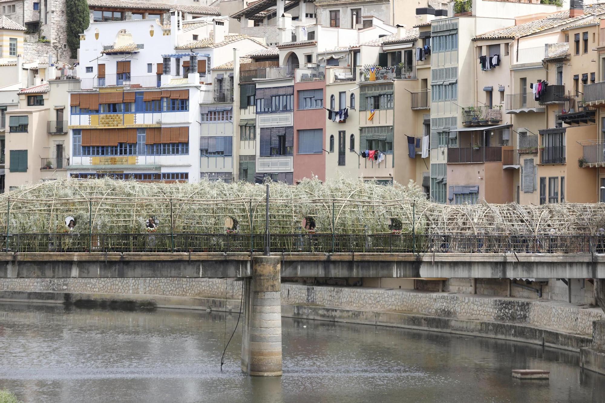 Les imatges de 'Girona, Temps de Flors' 2024