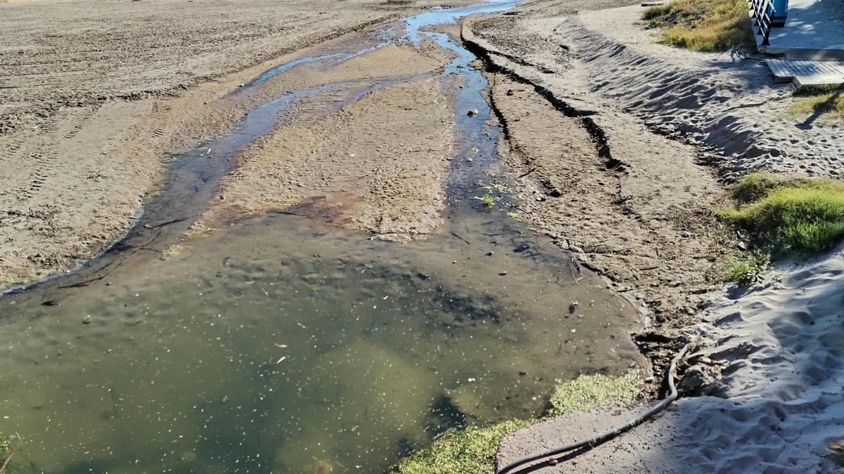 Aguas estancadas y verdes en una de las playas y que llegan hasta el mar.