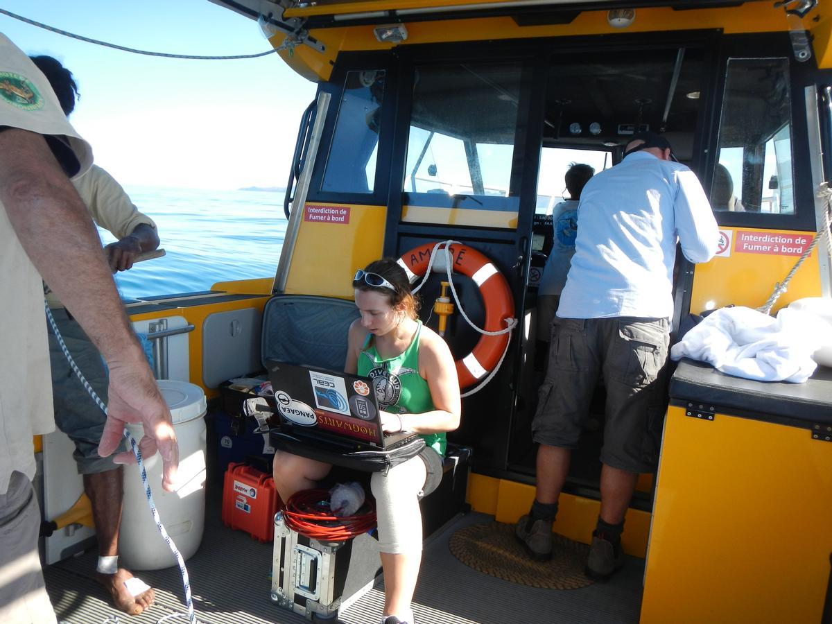 La investigadora Jenny Allen grabando el canto de las ballenas a bordo de un barco frente a Nueva Caledonia.