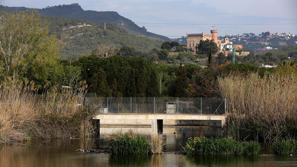 Reportaje de la lucha de los ecologistas de Castelldefels para proteger el area natural de la laguna o 'estany de l'Olla del Rei'