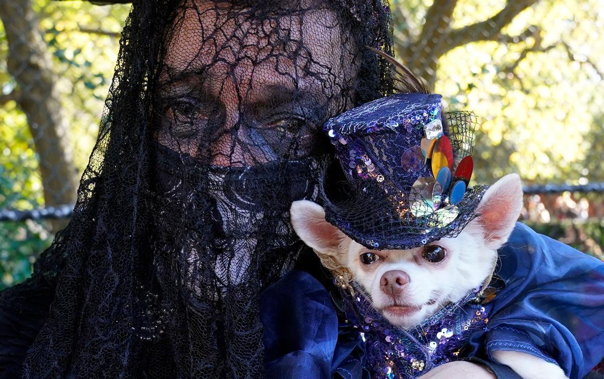Desfile de disfraces de Halloween para perros en Nueva York