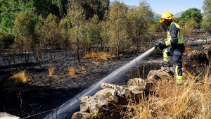 El incendio en Navaluenga, Ávila, afecta a unas 1.500 hectáreas y sigue activo aunque estabilizado
