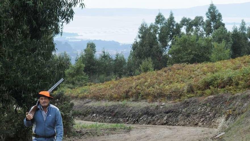 Un cazador recorre los montes próximos a Meaño. // Iñaki Abella