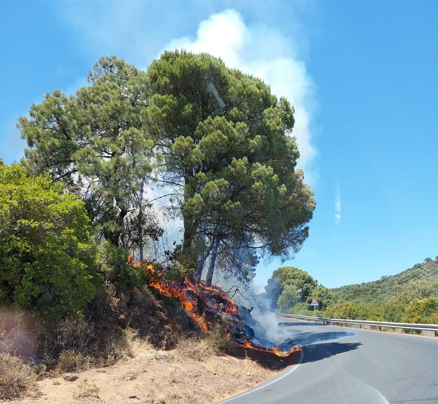 Incendio forestal en la sierra de Córdoba