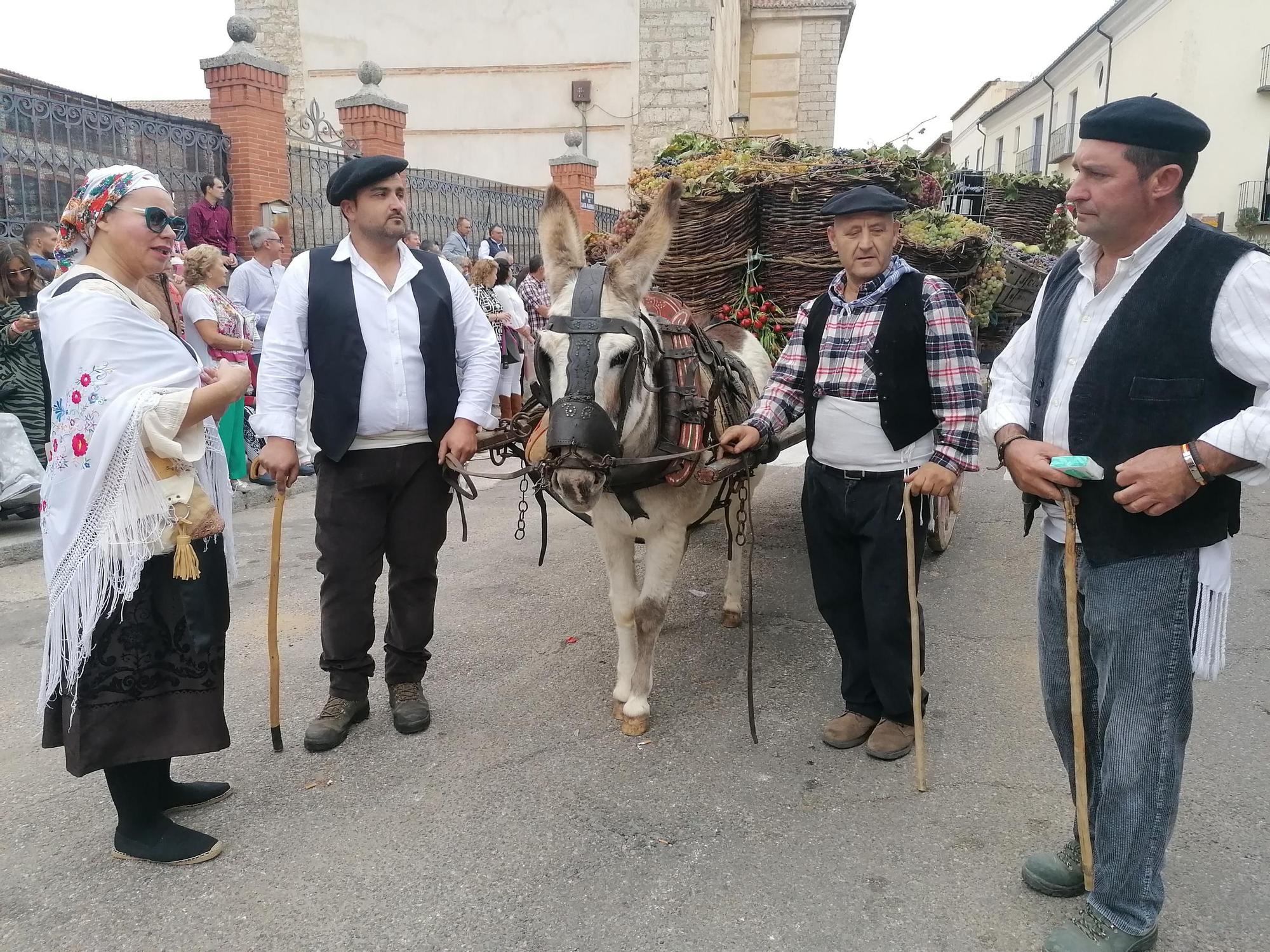 GALERÍA | Toro recrea la vendimia tradicional en el desfile de carros