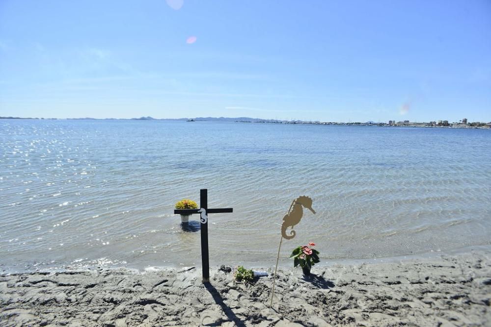 Centenares de personas se concentran en Villananitos para alertar del mal estado del Mar Menor