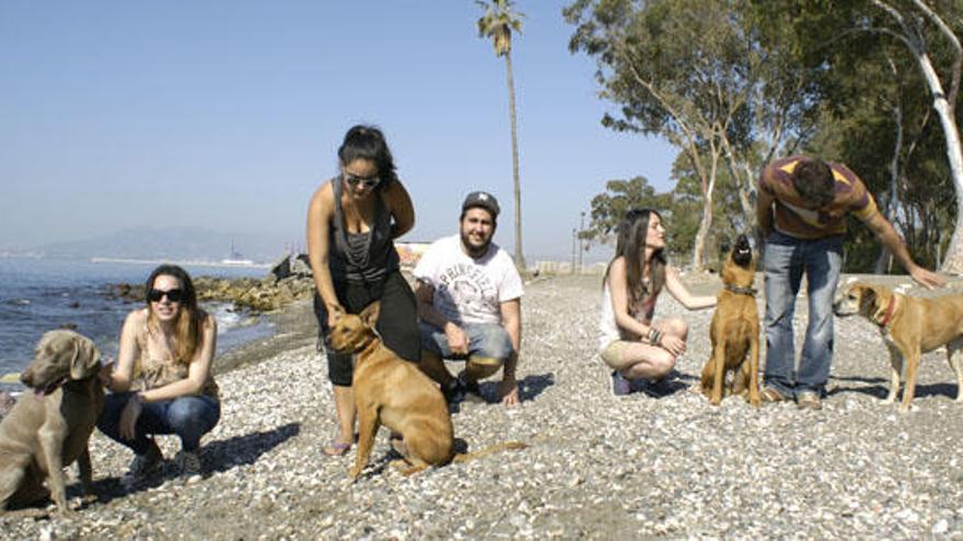 Perros en la playa de los Baños del Carmen.