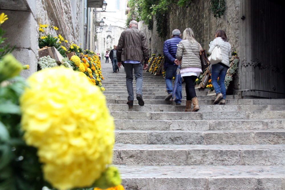 Girona floreix amb «Temps de Flors»