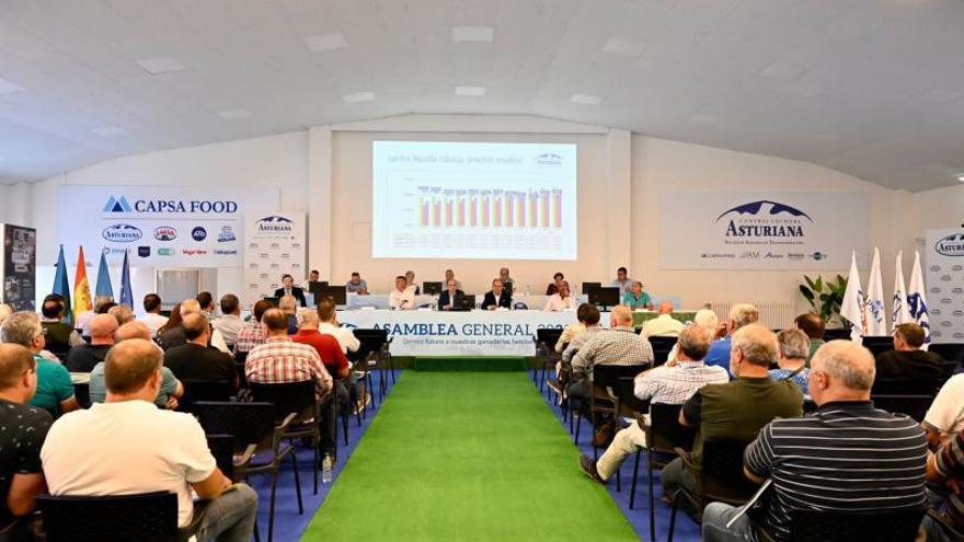 Mesa presidencial y parte de los asistentes a la asamblea de socios de Central Lechera Asturiana celebrada ayer en Granda (Siero). |